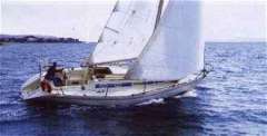 af4cebcae8